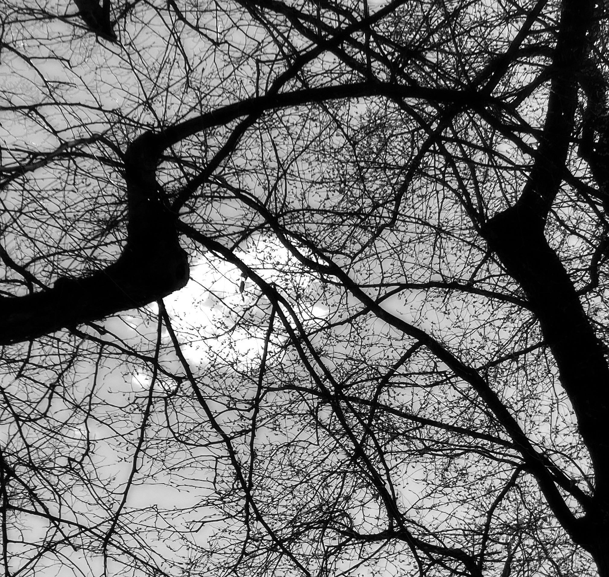 A Tale of Besieged Cities – Essay